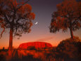 Australia Pósteres
