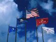 Banderas de países Posters