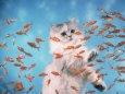 Cat Observing Goldfish in an Aquarium