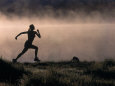 Bob Winsett Posters
