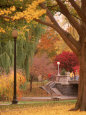 Jardins publics (photographies couleur) Affiches