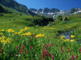 Photographies couleur de paysages ruraux Posters