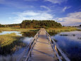 Uncle Tim's Bridge, Wellfleet, Cape Cod, MA Lámina fotográfica por Jeff Greenberg