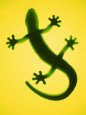 A Plastic Gecko Photographie
