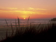Premium Photographic Prints Posters