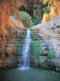 Shulamit Fall at En Gedi Reserve, Israel