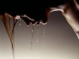 Erotic (Photography) Posters