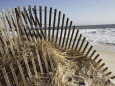 A Sand Fence Used to Control Dune Erosion Fotoprint van Stephen St. John