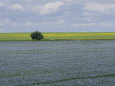 Saskatchewan Posters