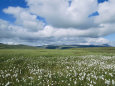 Clouds over a Green Landscape Lámina fotográfica por Sisse Brimberg