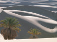Palm Trees Stand in Front of Perfectly Cut Sand Dunes in the Sahara Lámina fotográfica por Peter Carsten