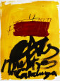 Mestres Catalunya 1972