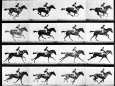 Eadweard Muybridge Pósteres
