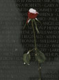 Karen Kasmauski Posters