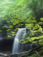 L'eau tombe en cascade d'une formation rocheuse Photographie par Bill Curtsinger