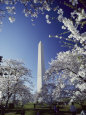 Monumento a Washington Posters