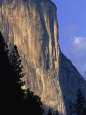 El Capitan in Yosemite National Park Photographie par Paul Nicklen