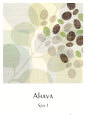 Ahava Pósteres