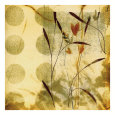 Botanical Collage (Decorative Art) Posters