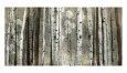 Arte decorativa (Arte ecologicamente correta) Posters