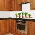 Herb Pots Vinilos decorativos