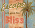 Tropical Escape Lámina por Ted Zorns