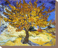 The Mulberry Tree (van Gogh) Posters