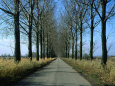 Paysages (Lonely Planet) Affiches