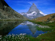 Les Alpes suisses Affiches