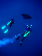 Scuba Diving Posters