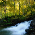 Stream Flowing Past Leafy Trees in Sierra Nevada Mountains, Ansel Adams Wilderness Area, USA Lámina fotográfica por Wes Walker