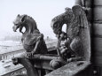 Detail of Two Monstrous Figures Located on a Terrace in the Cathedral of Notre-Dame, Paris Photographie