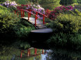 Moon Bridge and Pond in a Japanese Garden, Seattle, Washington, USA Photographic Print by Jamie & Judy Wild