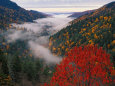Great Smoky Mountain National Park Posters