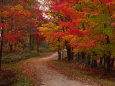 Landscapes (Danita Delimont) Posters