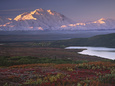Alaska Pósteres