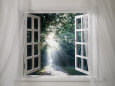 Ventanas Pósteres