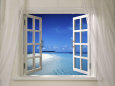 Photography Collections Posters