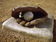 Baseball (Color Photography) Posters