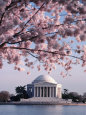 Jefferson Memorial Posters