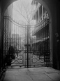 New Orleans' French Quarter is Famous for its Intricate Ironwork Gates and Balconies Lámina fotográfica
