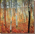 Forest of Birch Trees, c.1903