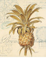 Ananas Affiches