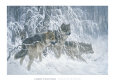 Edge of Winter (detail) Art Print by Larry Fanning
