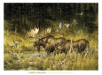 Elch Poster