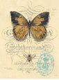 Honeybee Papillon Konsttryck av Chad Barrett