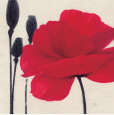 Ivo Stoyanov Affiches