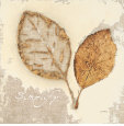 Natural Simplicity Lámina por James Wiens