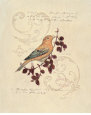 Filigree Songbird Kunstdruck von Chad Barrett