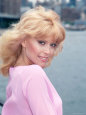 judy landers